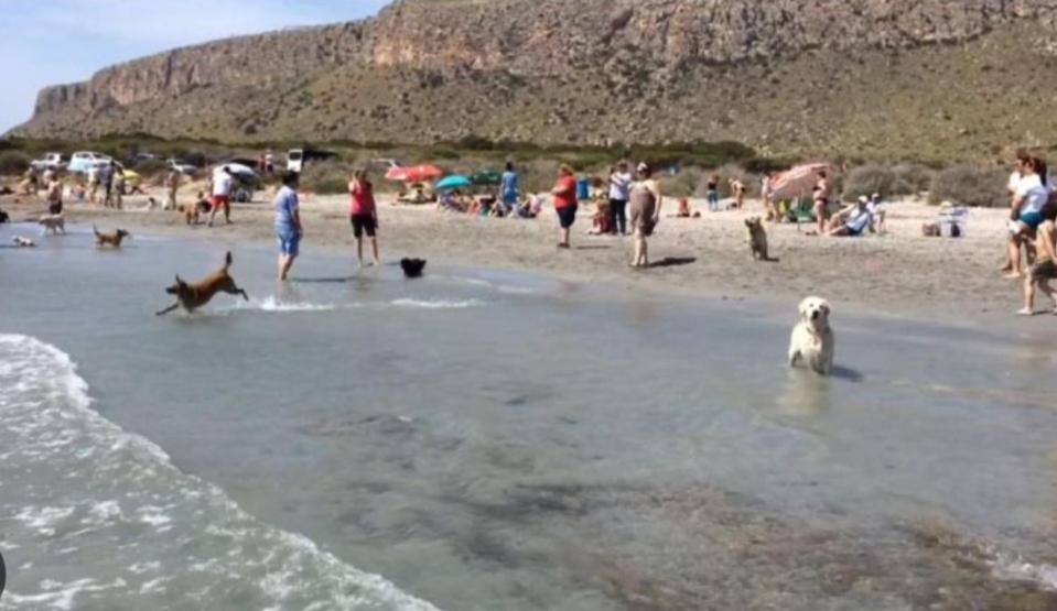 La Casita Del Tio Daire Santa Pola Dış mekan fotoğraf